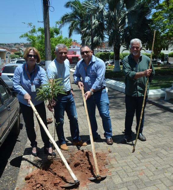 Brás de Pina vai receber novas árvores em ação coletiva de plantio -  Prefeitura da Cidade do Rio de Janeiro 